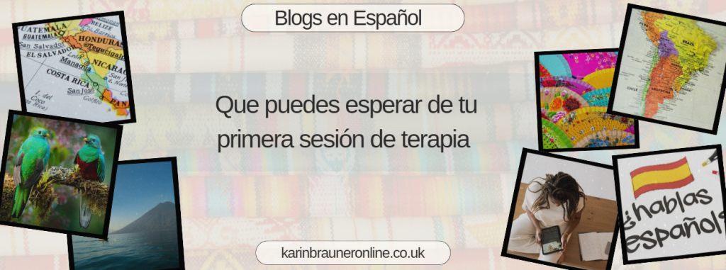 Que puedes esperar de tu primera sesión de terapia 

blog en espanol